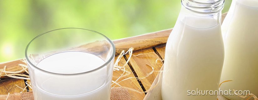 5 cách để làm sạch da mà không cần sửa rữa mặt 3