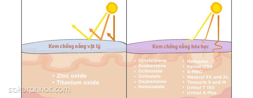  Bí mật đằng sau kem chống nắng 2
