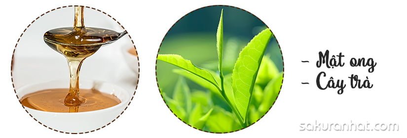 Phù phép thu nhỏ lỗ chân lông chỉ với 5 công thức này 3