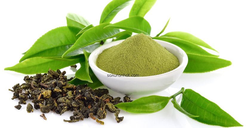 Cách trị mụn đầu đen bằng trà xanh